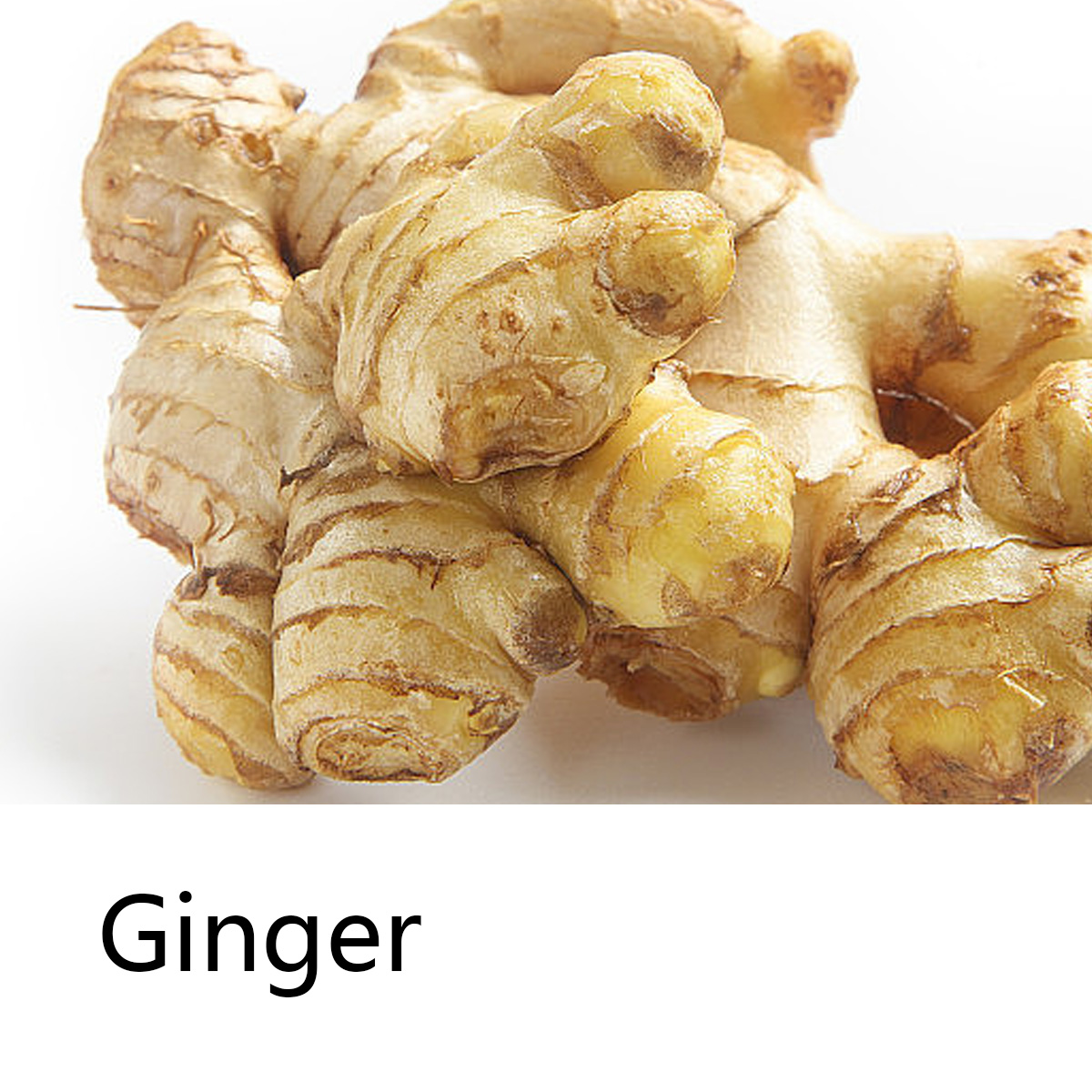 Ginger Essential Oil Shampoo B – Hair Care Pantene Bewertung und Preis