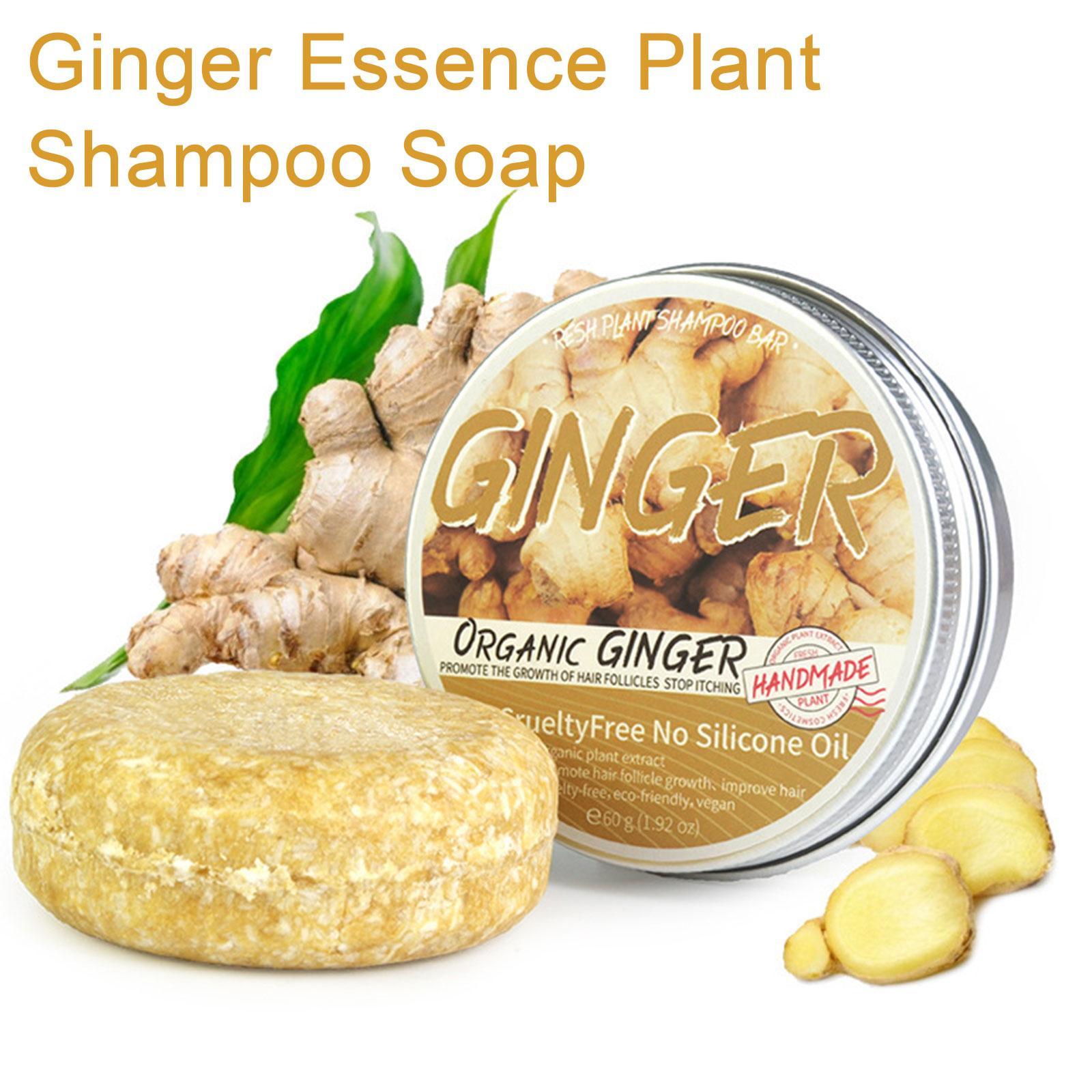 Ginger Polygonum Soap Shampoo  – Hair Care Pantene Bewertung und Preis