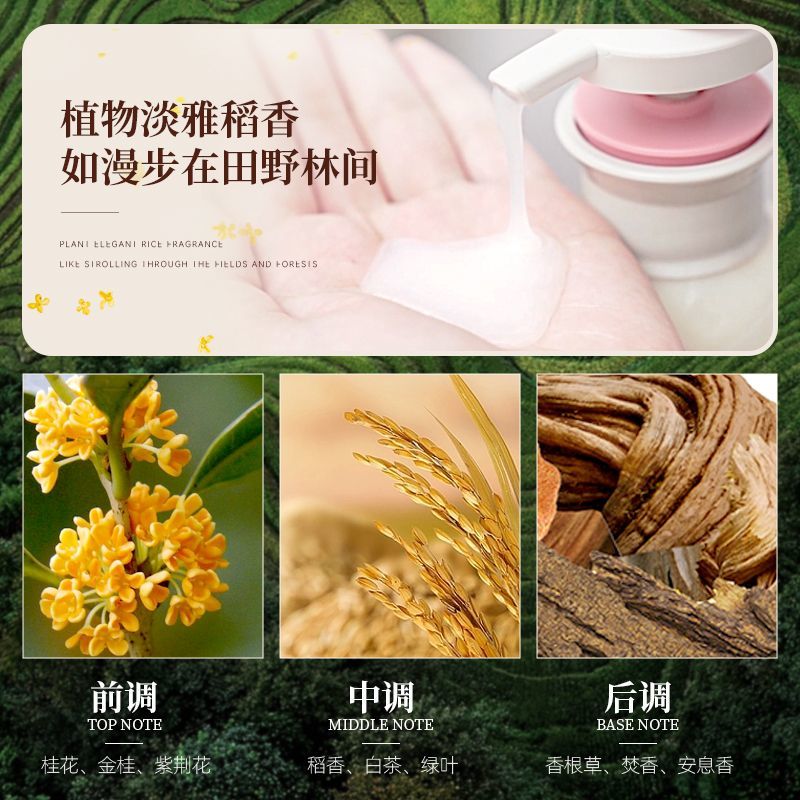 Changfa Xiaozhai Rice Water Sh – Hair Care With Rice Water Bewertung und Preis