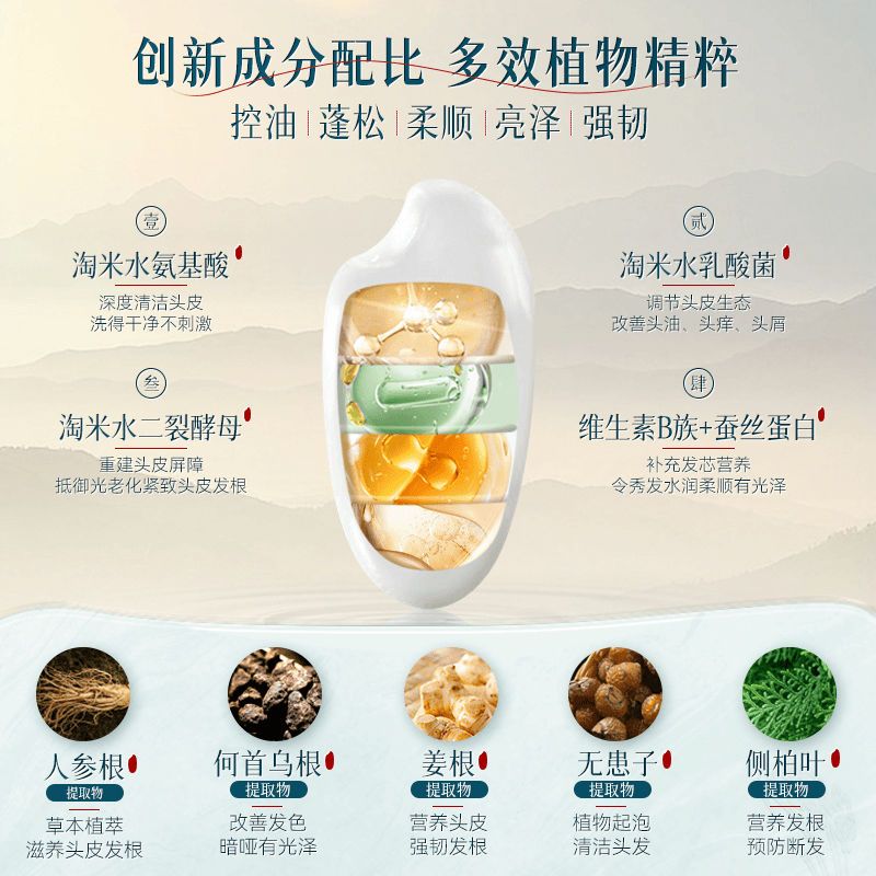 Changfa Xiaozhai Rice Water Sh – Hair Care With Rice Water Bewertung und Preis