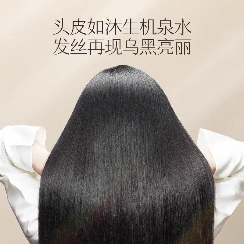 Changfa Xiaozhai Rice Water Sh – Hair Care With Rice Water Bewertung und Preis
